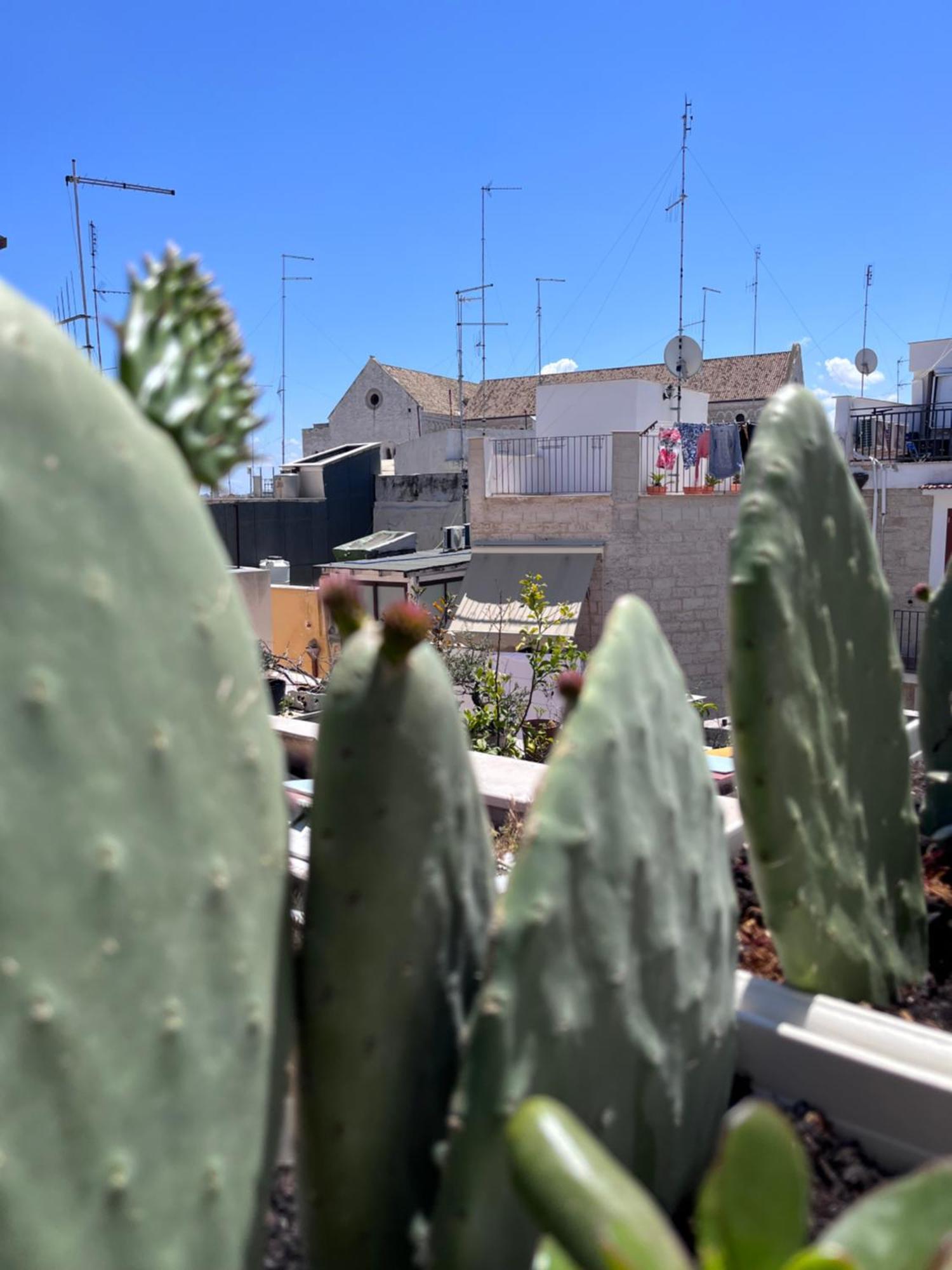Вилла Casa Franca - Terracielo A Bari Vecchia Экстерьер фото